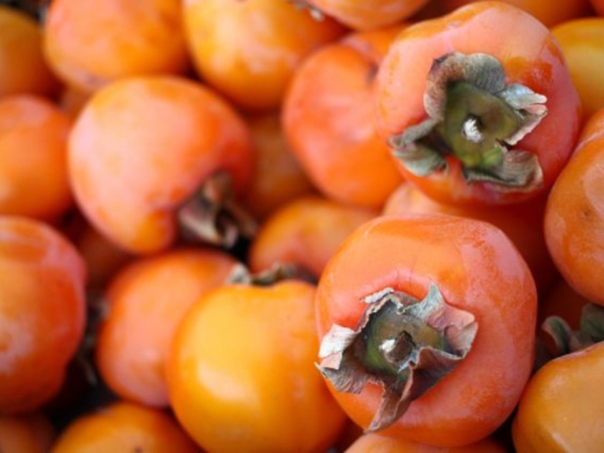 What do you need to know about Japanese apples? | Radio Bijelo Polje